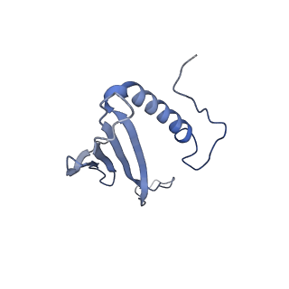 41666_8twc_DI_v1-0
Acinetobacter phage AP205 T=3 VLP