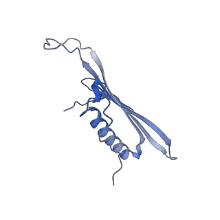 41666_8twc_DK_v1-0
Acinetobacter phage AP205 T=3 VLP