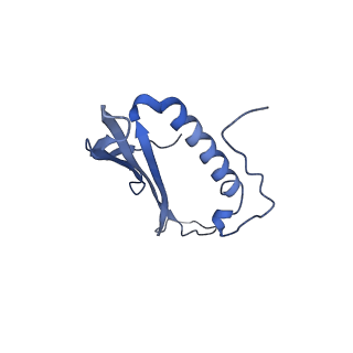 41666_8twc_DN_v1-0
Acinetobacter phage AP205 T=3 VLP
