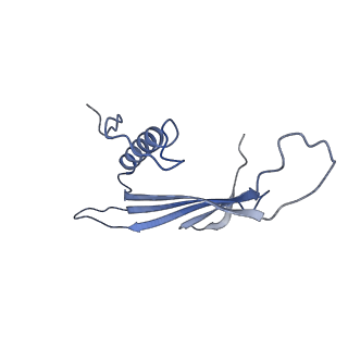 41666_8twc_DO_v1-0
Acinetobacter phage AP205 T=3 VLP