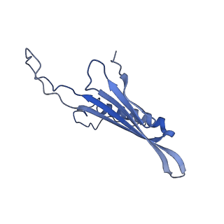 41666_8twc_DP_v1-0
Acinetobacter phage AP205 T=3 VLP