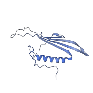 41666_8twc_DS_v1-0
Acinetobacter phage AP205 T=3 VLP