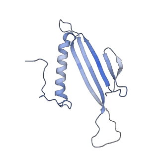 41666_8twc_DU_v1-0
Acinetobacter phage AP205 T=3 VLP