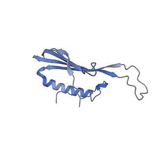 41666_8twc_DW_v1-0
Acinetobacter phage AP205 T=3 VLP