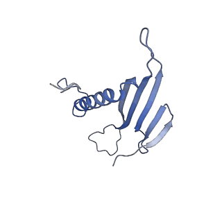 41666_8twc_DX_v1-0
Acinetobacter phage AP205 T=3 VLP