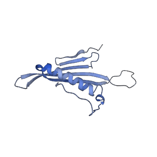 41666_8twc_DZ_v1-0
Acinetobacter phage AP205 T=3 VLP