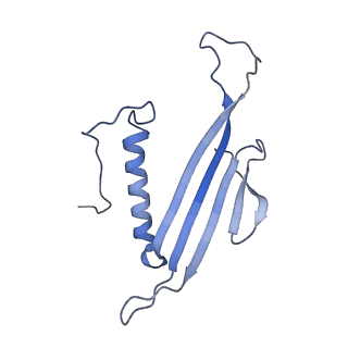 41666_8twc_ED_v1-0
Acinetobacter phage AP205 T=3 VLP