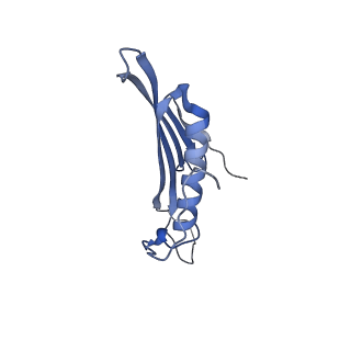 41666_8twc_EF_v1-0
Acinetobacter phage AP205 T=3 VLP