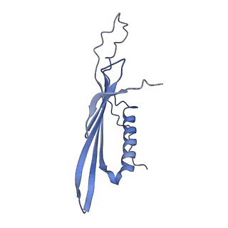 41666_8twc_EH_v1-0
Acinetobacter phage AP205 T=3 VLP