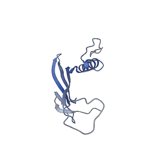 41666_8twc_EI_v1-0
Acinetobacter phage AP205 T=3 VLP