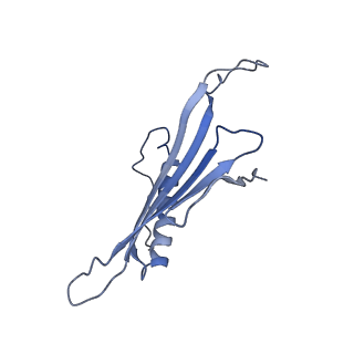 41666_8twc_EJ_v1-0
Acinetobacter phage AP205 T=3 VLP