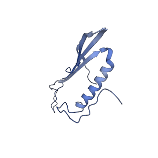 41666_8twc_EK_v1-0
Acinetobacter phage AP205 T=3 VLP