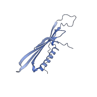 41666_8twc_EL_v1-0
Acinetobacter phage AP205 T=3 VLP