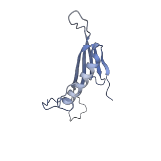 41666_8twc_EM_v1-0
Acinetobacter phage AP205 T=3 VLP