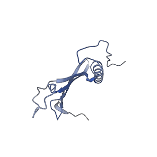 41666_8twc_EN_v1-0
Acinetobacter phage AP205 T=3 VLP