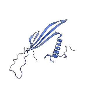 41666_8twc_EQ_v1-0
Acinetobacter phage AP205 T=3 VLP