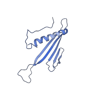 41666_8twc_ES_v1-0
Acinetobacter phage AP205 T=3 VLP