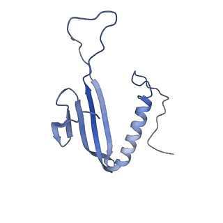 41666_8twc_ET_v1-0
Acinetobacter phage AP205 T=3 VLP