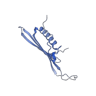 41666_8twc_EU_v1-0
Acinetobacter phage AP205 T=3 VLP