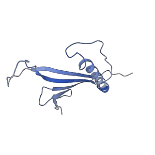 41666_8twc_EY_v1-0
Acinetobacter phage AP205 T=3 VLP