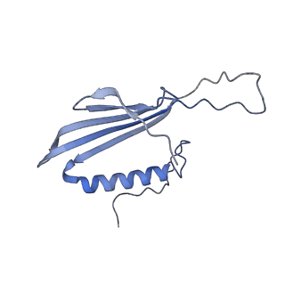 41666_8twc_EZ_v1-0
Acinetobacter phage AP205 T=3 VLP