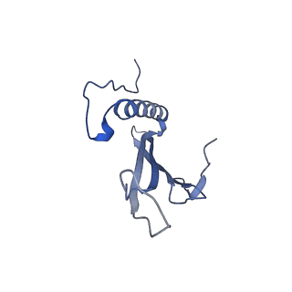 41666_8twc_FA_v1-0
Acinetobacter phage AP205 T=3 VLP