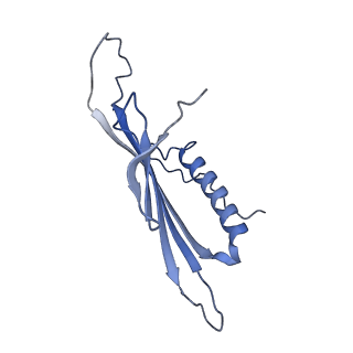 41666_8twc_FB_v1-0
Acinetobacter phage AP205 T=3 VLP