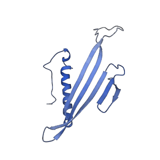 41666_8twc_FD_v1-0
Acinetobacter phage AP205 T=3 VLP