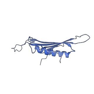 41666_8twc_FK_v1-0
Acinetobacter phage AP205 T=3 VLP