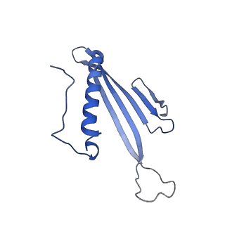 41666_8twc_FM_v1-0
Acinetobacter phage AP205 T=3 VLP