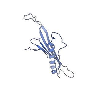 41666_8twc_FQ_v1-0
Acinetobacter phage AP205 T=3 VLP