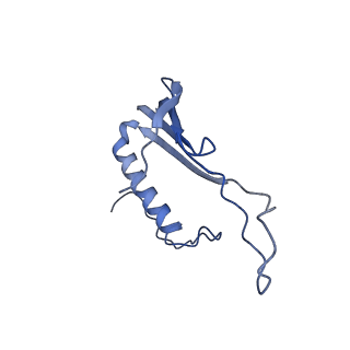 41666_8twc_FR_v1-0
Acinetobacter phage AP205 T=3 VLP