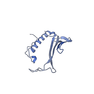 41666_8twc_FS_v1-0
Acinetobacter phage AP205 T=3 VLP