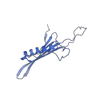 41666_8twc_FU_v1-0
Acinetobacter phage AP205 T=3 VLP