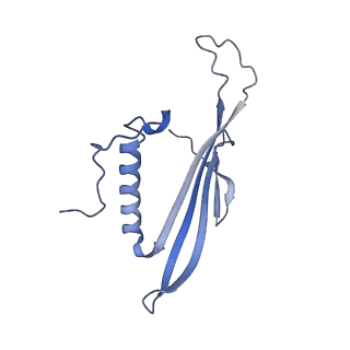 41666_8twc_FV_v1-0
Acinetobacter phage AP205 T=3 VLP