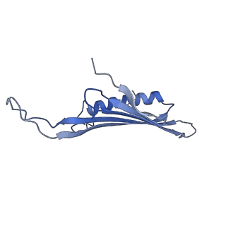 41666_8twc_FZ_v1-0
Acinetobacter phage AP205 T=3 VLP