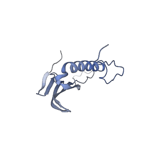 41666_8twc_GA_v1-0
Acinetobacter phage AP205 T=3 VLP