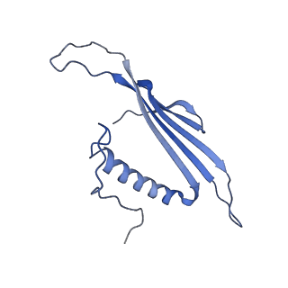 41666_8twc_GC_v1-0
Acinetobacter phage AP205 T=3 VLP