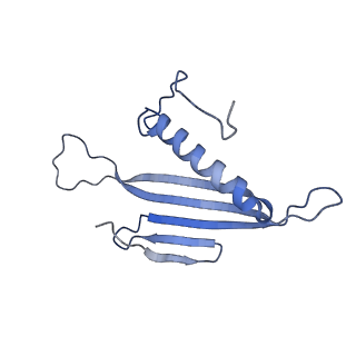 41666_8twc_GF_v1-0
Acinetobacter phage AP205 T=3 VLP