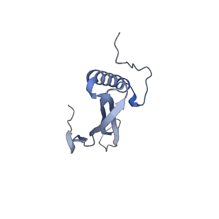 41666_8twc_GH_v1-0
Acinetobacter phage AP205 T=3 VLP