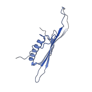 41666_8twc_GI_v1-0
Acinetobacter phage AP205 T=3 VLP