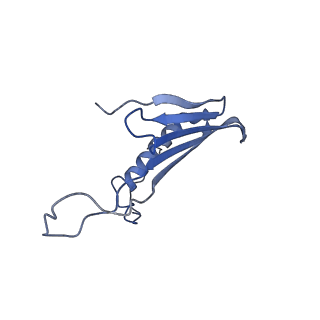 41666_8twc_GJ_v1-0
Acinetobacter phage AP205 T=3 VLP