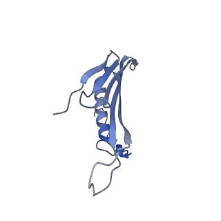 41666_8twc_GK_v1-0
Acinetobacter phage AP205 T=3 VLP