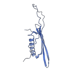 41666_8twc_GM_v1-0
Acinetobacter phage AP205 T=3 VLP