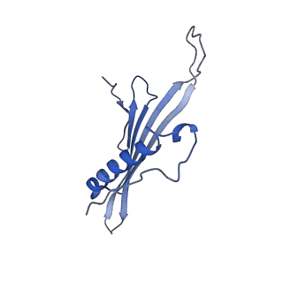 41666_8twc_GN_v1-0
Acinetobacter phage AP205 T=3 VLP