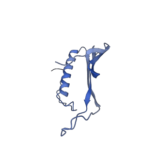 41666_8twc_GO_v1-0
Acinetobacter phage AP205 T=3 VLP