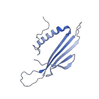 41666_8twc_GR_v1-0
Acinetobacter phage AP205 T=3 VLP