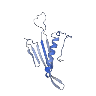 41666_8twc_GS_v1-0
Acinetobacter phage AP205 T=3 VLP