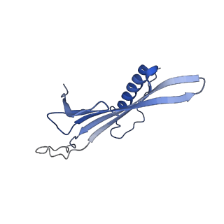 41666_8twc_GV_v1-0
Acinetobacter phage AP205 T=3 VLP