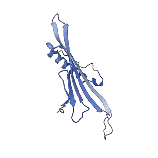 41666_8twc_GW_v1-0
Acinetobacter phage AP205 T=3 VLP